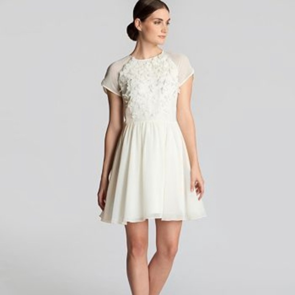 Ted Baker Embellished Flower Floral Appliqué Fit and Flare Penny Dress